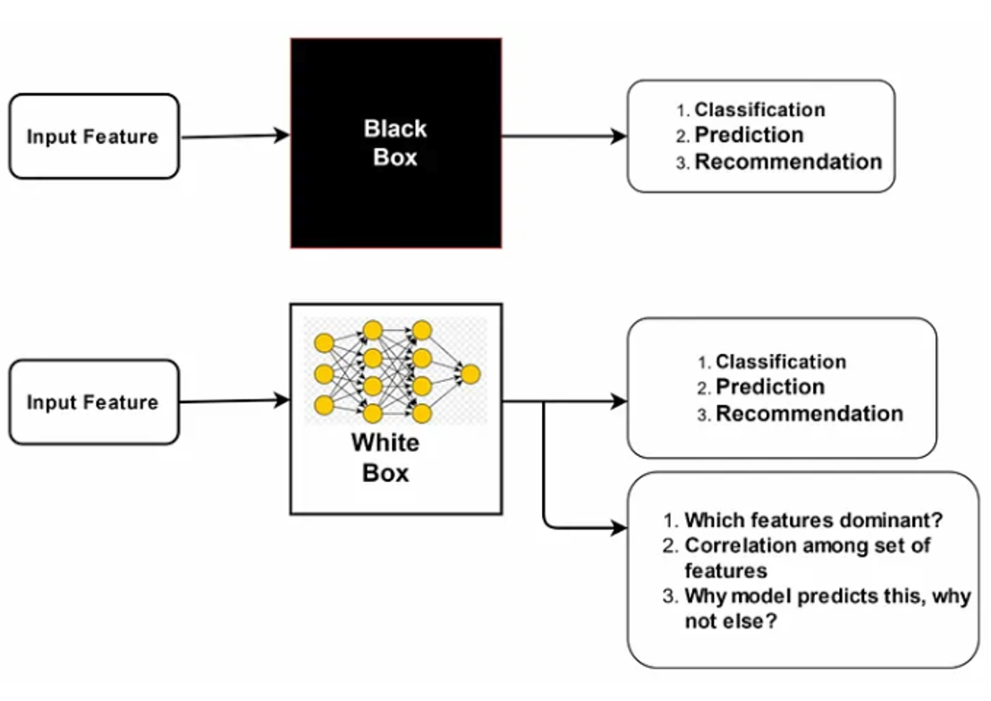 Black Box AI vs White Box AI